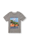 Boys DRIBBLIN' T-Shirt Grey-823