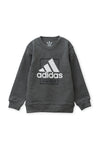 Boys-Sweat-Shirt-Gray 22-BS-30