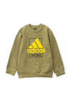 Boys Sweat Shirt BROWN 22-BS-16