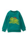 Boys Sweat Shirt GREEN 22-BS-17