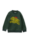 Boys Sweat Shirt GREEN 22-BS-9