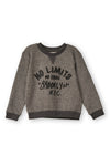 Boys Sweat Shirt Grey -22-BS-41