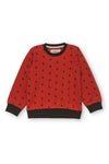 Boys Sweater Red-22 BS 4