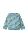 Boys sweat shirt (22 BS1)